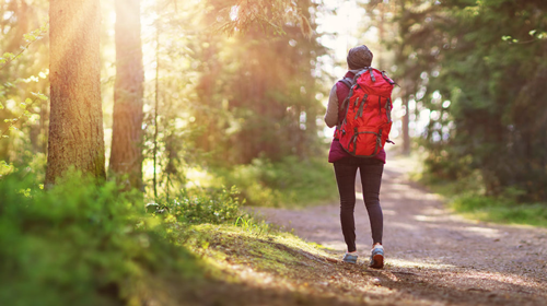 Person walking in woods early morning